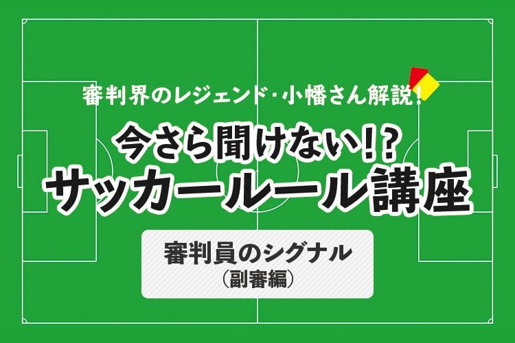 詳解サッカーのルールと審判法 新ルールの解説と審判法 '95年