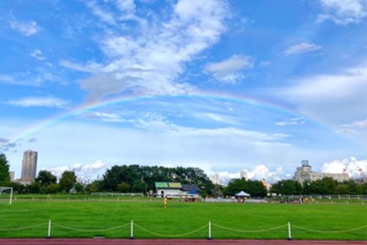 「ママのごはんで、子どもを支えられている」サカママの皆さんへ、かけがえのない今にエール