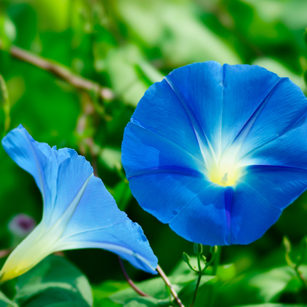 必見！夏に強くなるための方法！