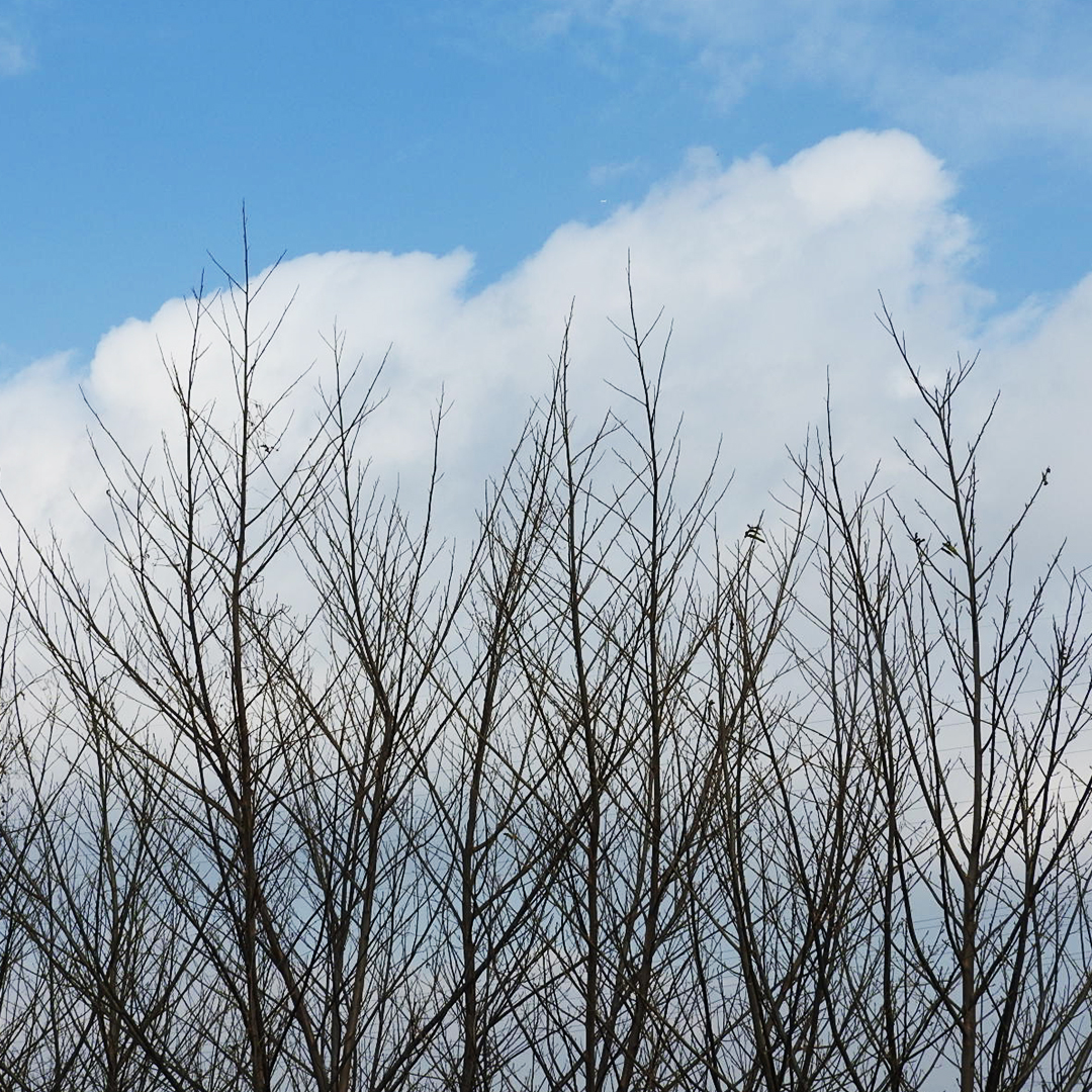 冬休み中の過ごし方：マルチにスポーツを経験させてみよう！