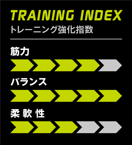 TRAINING INDEX