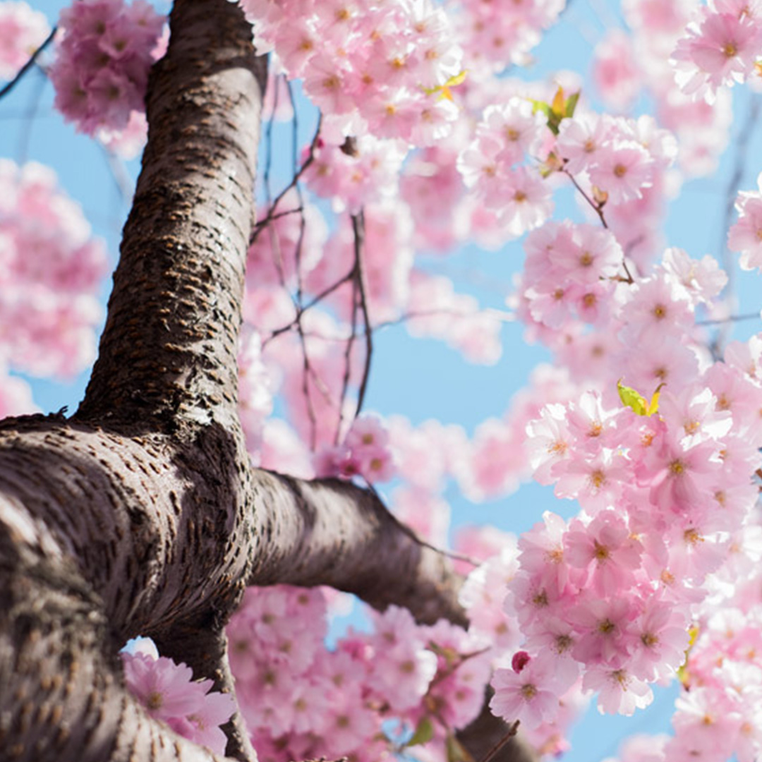 新年度にやるべきルーティン①ケガのデータをまとめる