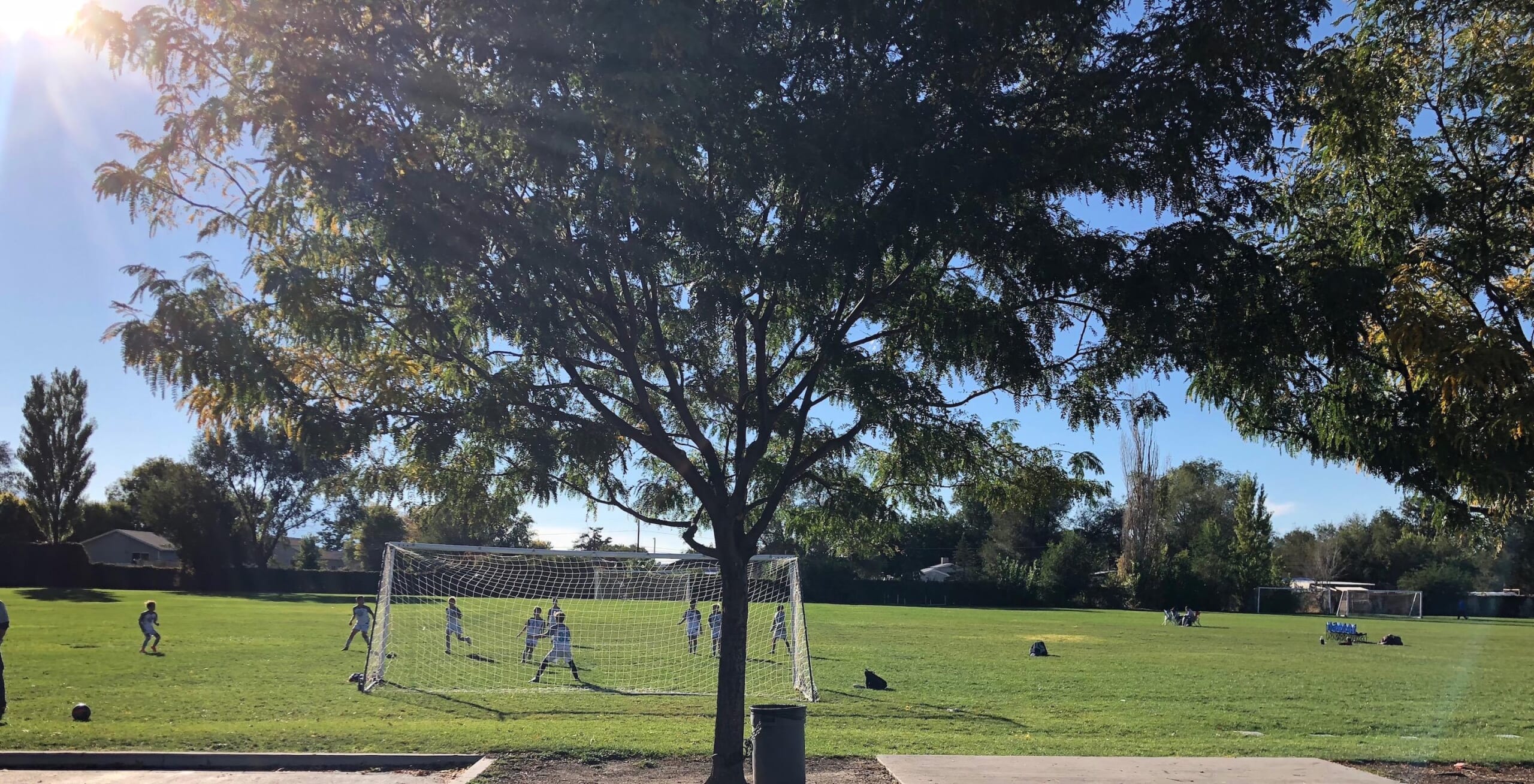 アメリカ少年サッカー記３　隣の芝は青く見えるサッカー環境