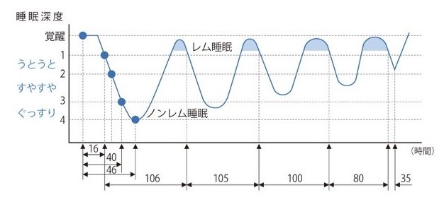一晩の睡眠経過