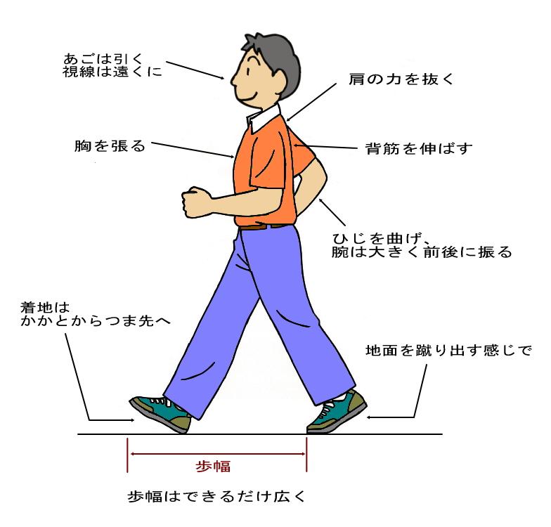 正しい歩き方・走り方 〜姿勢の基礎基本〜