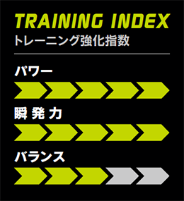 TRAINING INDEX