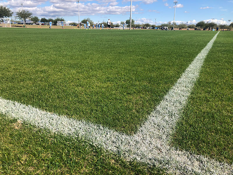 アメリカ少年サッカー記10「アメリカユースサッカーの育成システム」