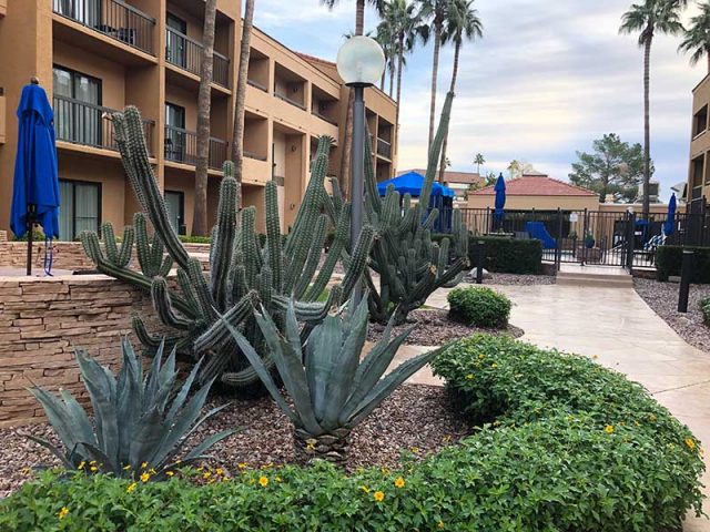 アメリカ少年サッカー記10「アメリカユースサッカーの育成システム」