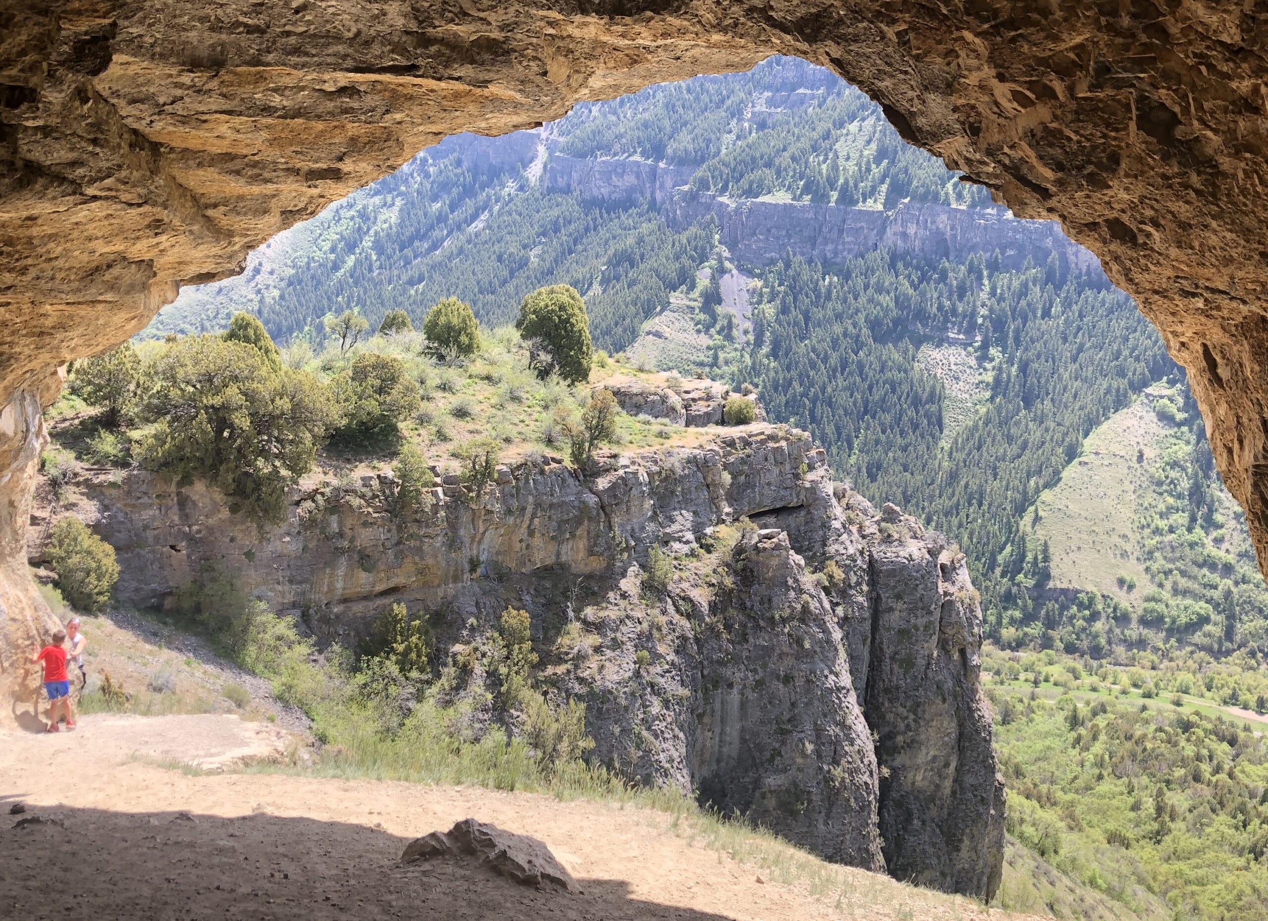 アメリカ少年サッカー記16 「チーム練習を再開して大丈夫？ 」