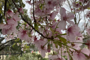 ポジティブな思考を作る習慣