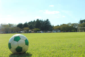 花粉症が辛い時期に行っている対策と予防法とは？