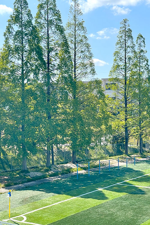 スパイク1足1足に詰まった思い出