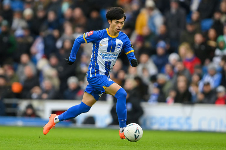 三笘 薫(ブライトン/MF)