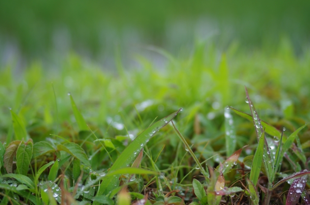暑さや雷による試合の中止について