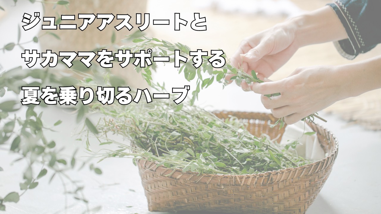 ジュニアアスリートとサカママをサポートする夏を乗り切るハーブの活用法