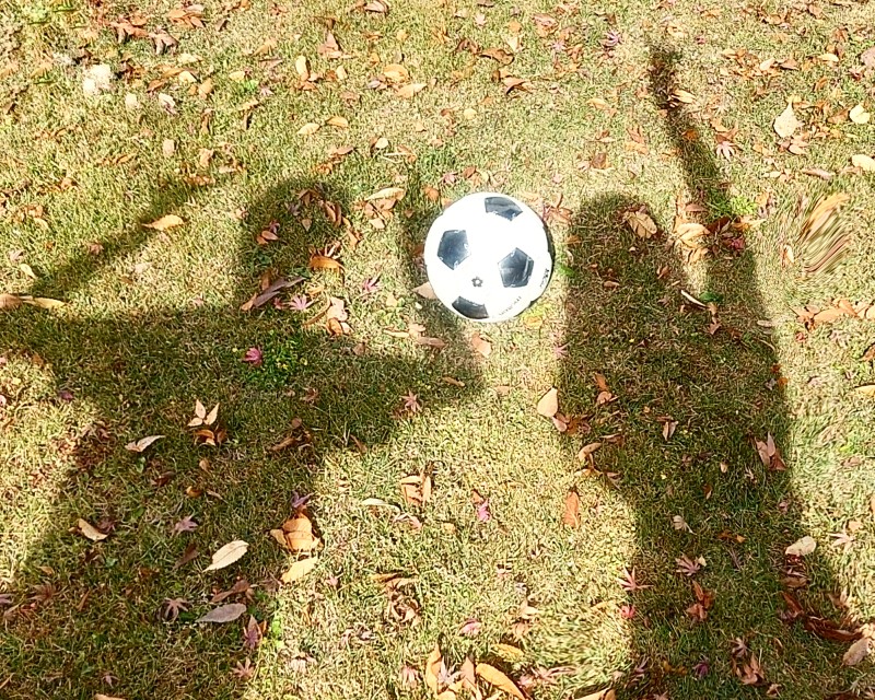 子どもが楽しくサッカーをするために親ができること