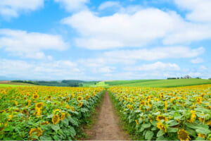夏休みも折り返し！！ サッカーだけじゃないたくさんの経験を子どもたちへ