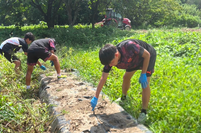 農作業中のサッカー部員たち