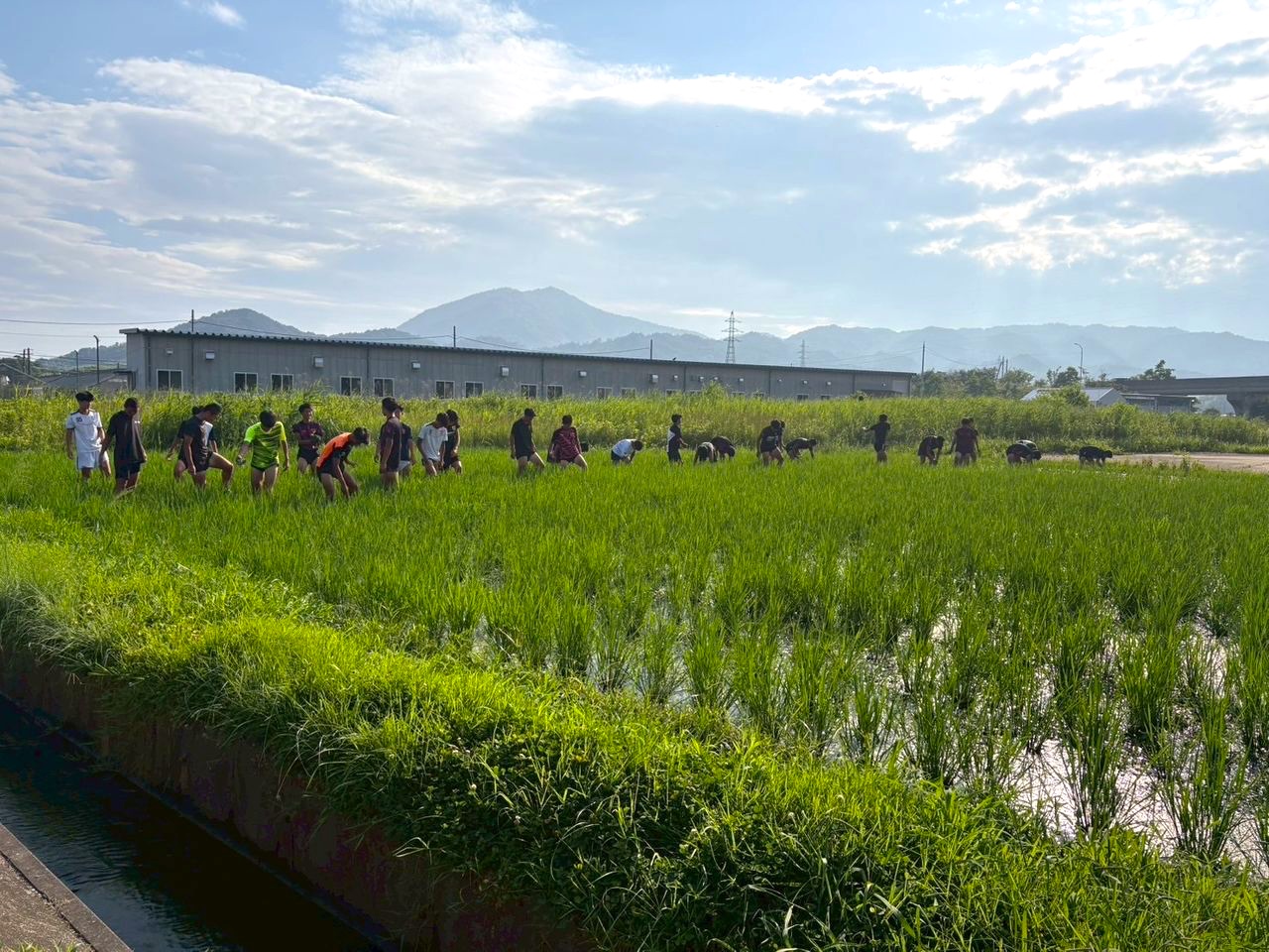田んぼとサッカー部員たち